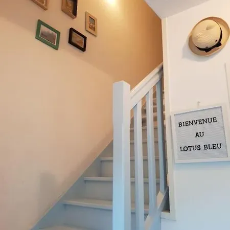 Le Lotus Bleu Порник