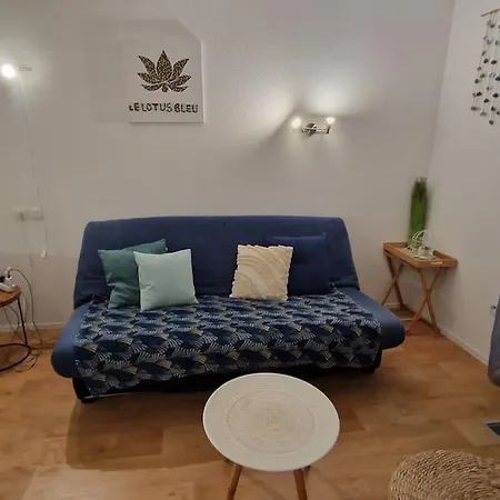 בית נופש Le Lotus Bleu