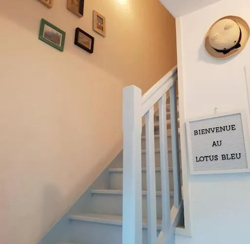 Le Lotus Bleu Порник