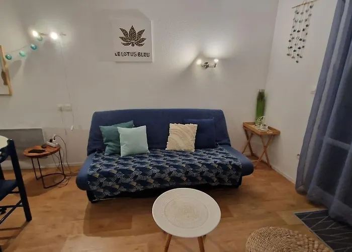 Дом отдыха Le Lotus Bleu